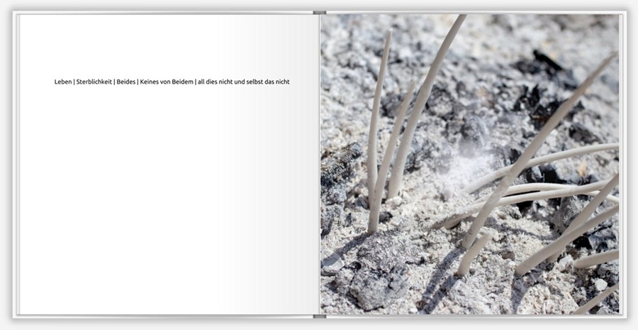 "Asche" der Werkserie Tentakel. Kunstkatalog Jochen Schnepf, Bildender Künstler